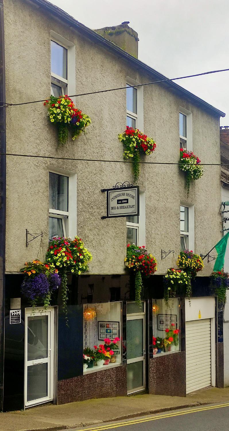 Inishross House Bed & Breakfast New Ross Bagian luar foto